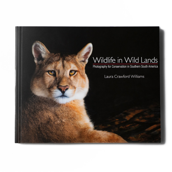 WILDLIFE IN WILD LANDS